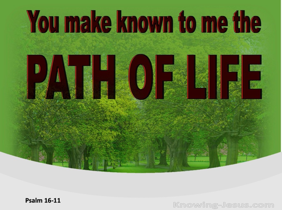Psalm 16:11 You Make Known To Me The Path Of Life (red)